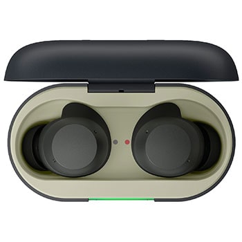 opened cradle top view with earbuds