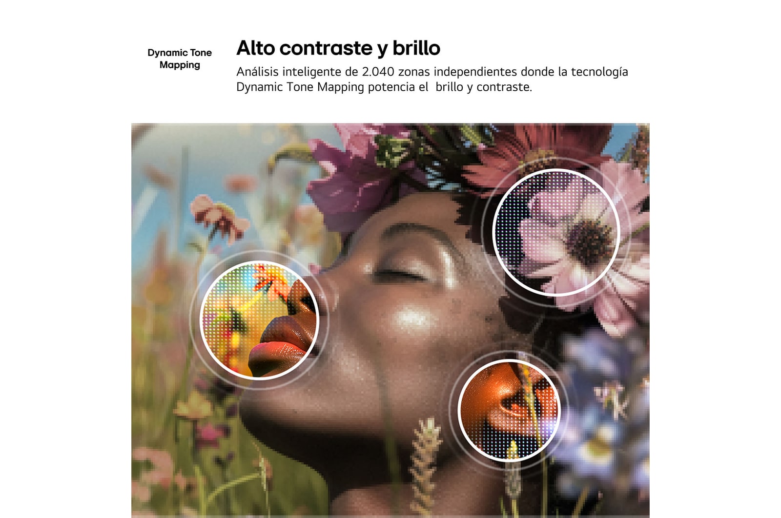 LG NANO 4K UHD AI NU80 with 4K Super Upscaling and Dynamic Tone Mapping shows an underwater scene of a sea lion, as AI recognizes and upscales each frame up to 4K resolution.