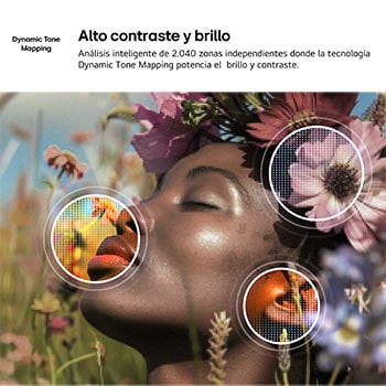 LG NANO 4K UHD AI NU80 with 4K Super Upscaling and Dynamic Tone Mapping shows an underwater scene of a sea lion, as AI recognizes and upscales each frame up to 4K resolution.