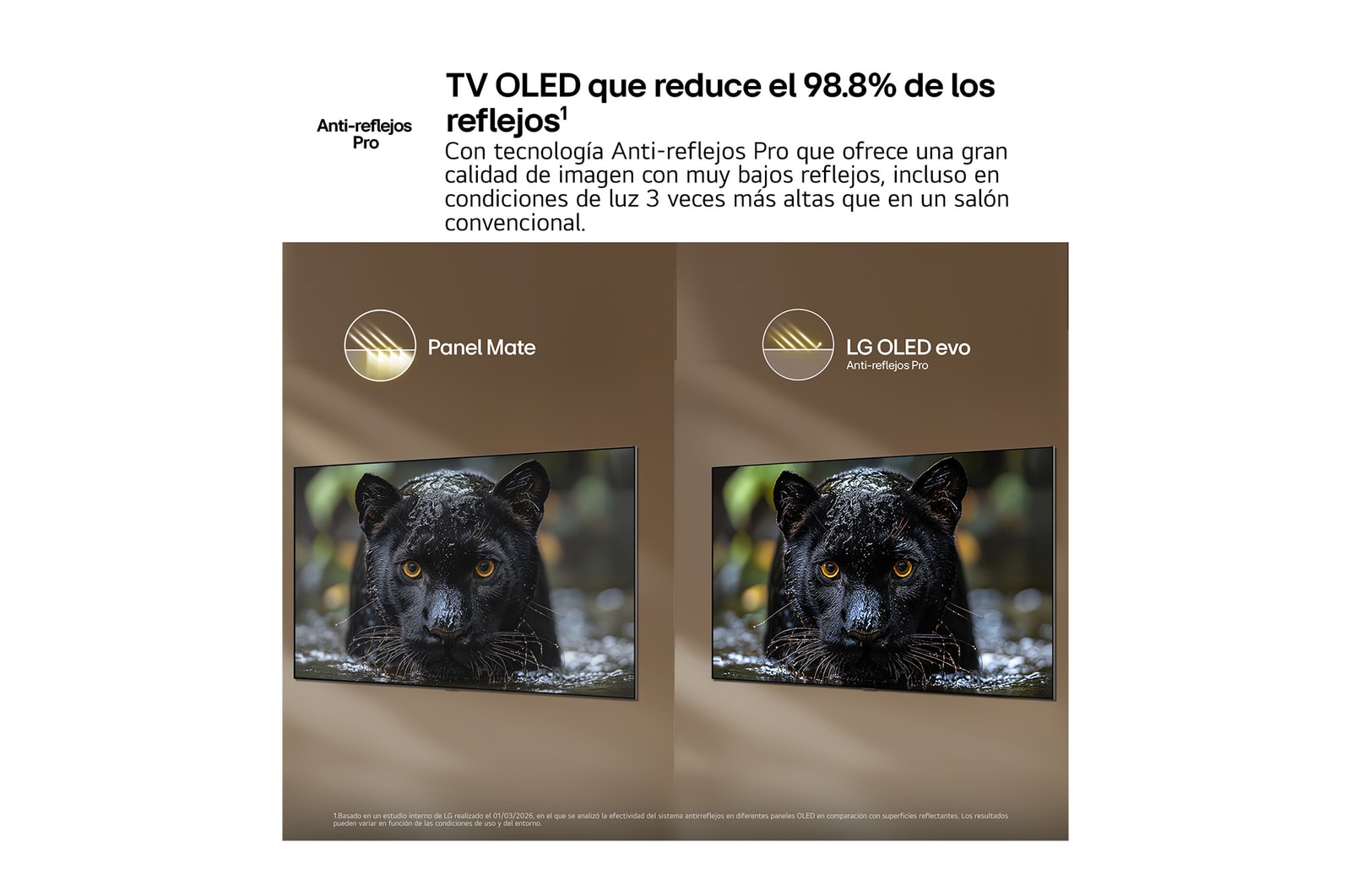 OLED55C6ELB