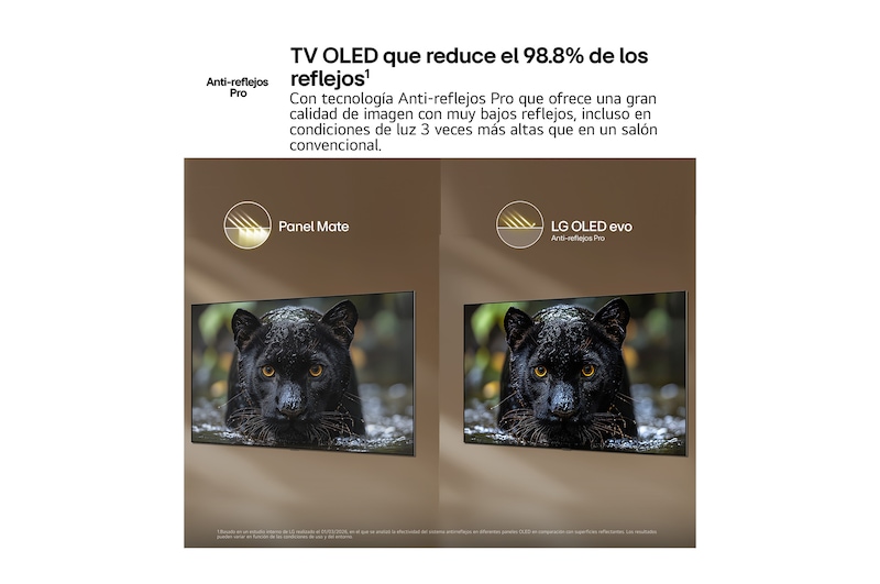 OLED55C6ELB