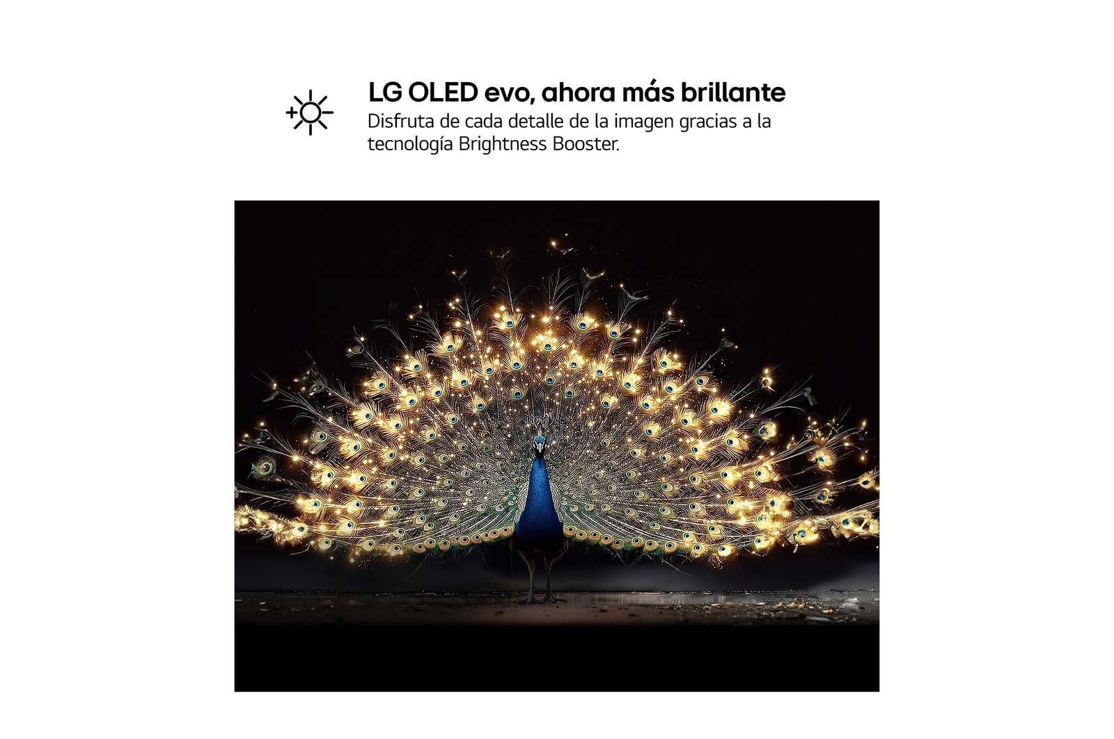 OLED55C6ELB