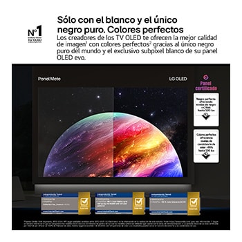 OLED55C6ELB