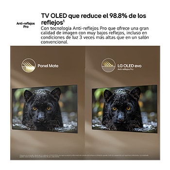OLED55C6ELB