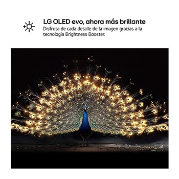 OLED55C6ELB