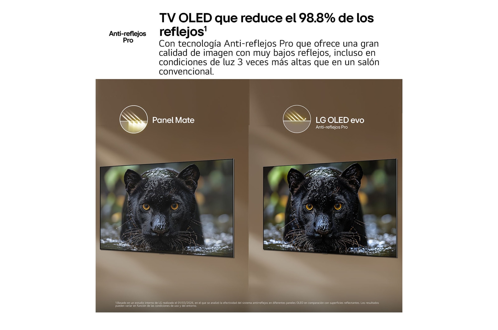 65 Inch LG OLED evo AI C6 4K Smart TV 2026