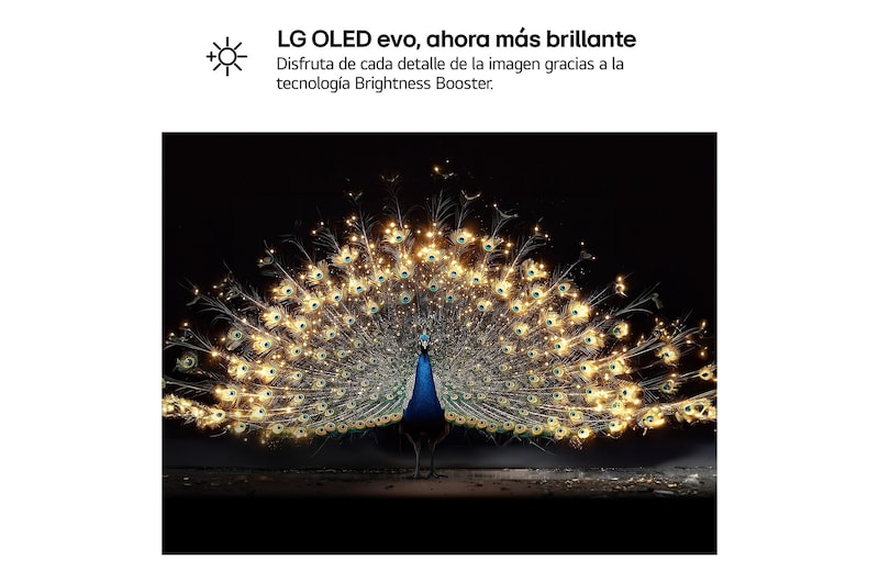 LG OLED evo AI C6 with Brightness Booster shows a dark scene where a brilliantly illuminated peacock spreads its radiant, glowing feathers, delivering brighter highlights with improved detail and striking contrast.