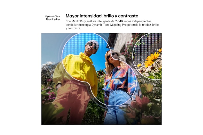 LG QNED evo AI QNED82 Mini LED with AI Picture Pro and Dynamic Tone Mapping Pro shows a low-angle outdoor lifestyle scene with two people among vivid flowers, as AI recognizes and upscales each frame to 4K for clearer texture and detail.