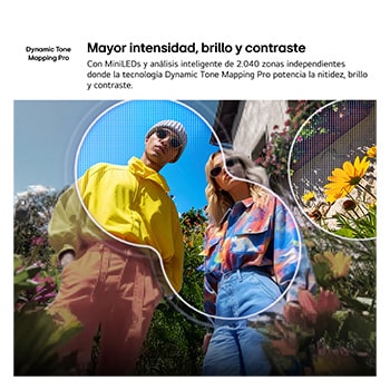 LG QNED evo AI QNED83 Mini LED with AI Picture Pro and Dynamic Tone Mapping Pro shows a low-angle outdoor lifestyle scene with two people among vivid flowers, as AI recognizes and upscales each frame to 4K for clearer texture and detail.