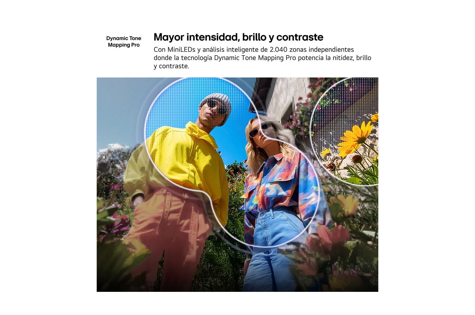 LG QNED evo AI QNED82 Mini LED with AI Picture Pro and Dynamic Tone Mapping Pro shows a low-angle outdoor lifestyle scene with two people among vivid flowers, as AI recognizes and upscales each frame to 4K for clearer texture and detail.