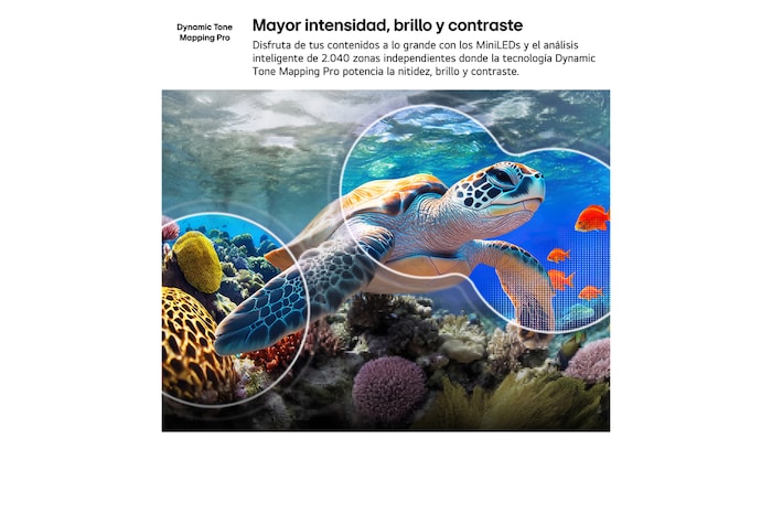 LG QNED evo AI QNED85 Mini LED with AI Picture Pro and Dynamic Tone Mapping Pro shows an underwater scene of a sea turtle swimming above coral and fish, as AI recognizes and upscales each frame to 4K resolution.