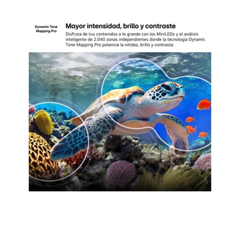 LG QNED evo AI QNED85 Mini LED with AI Picture Pro and Dynamic Tone Mapping Pro shows an underwater scene of a sea turtle swimming above coral and fish, as AI recognizes and upscales each frame to 4K resolution.