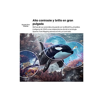 LG QNED evo AI QNED70 Mini LED with 4K Super Upscaling and Dynamic Tone Mapping shows an underwater scene of an orca swimming, as AI recognizes and upscales every frame to 4K resolution.