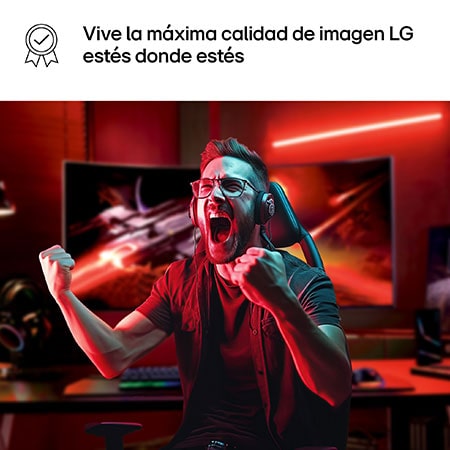 LG Outlet Monitor Gaming LG UltraGear, 24", IPS, FHD (1920x1080), 180Hz, 1 ms, 24GS60F-B.OUTLET