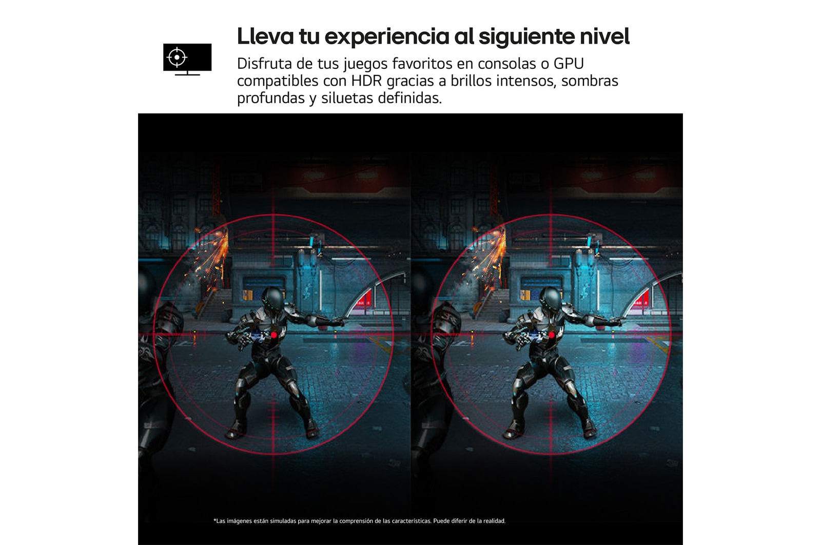 lelva tu experiencia