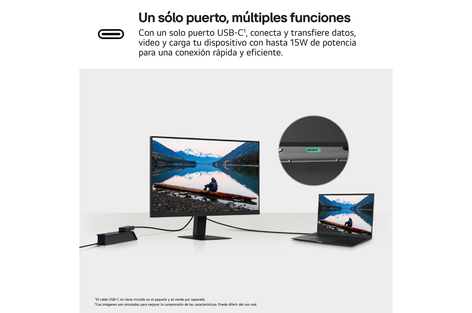 Vista lateral