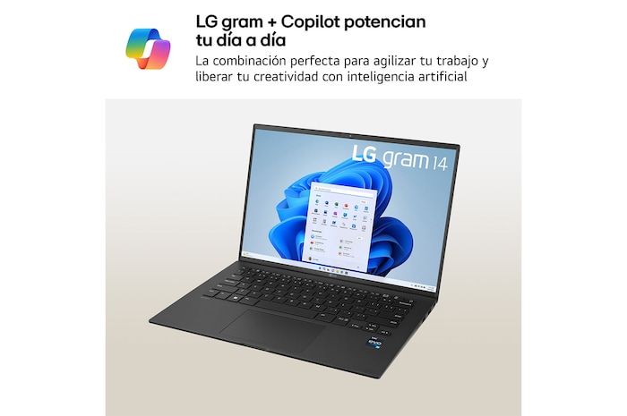 USP : Microsoft Copilot