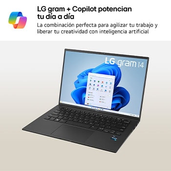 USP : Microsoft Copilot