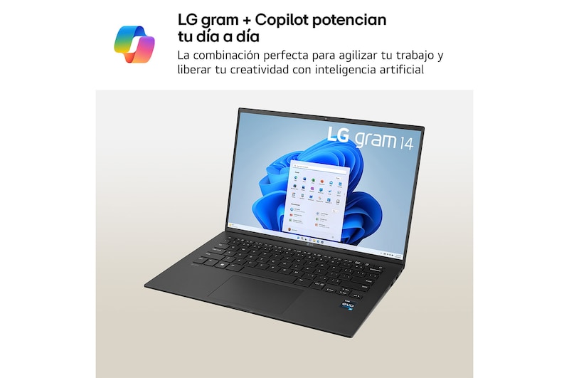 USP : Microsoft Copilot