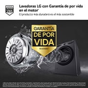 LG Lavadora inteligente AI Direct Drive,  Vapor,  9kg ,  1400rpm Un 10% más eficiente que A, Serie 500, F4WR5009A6M