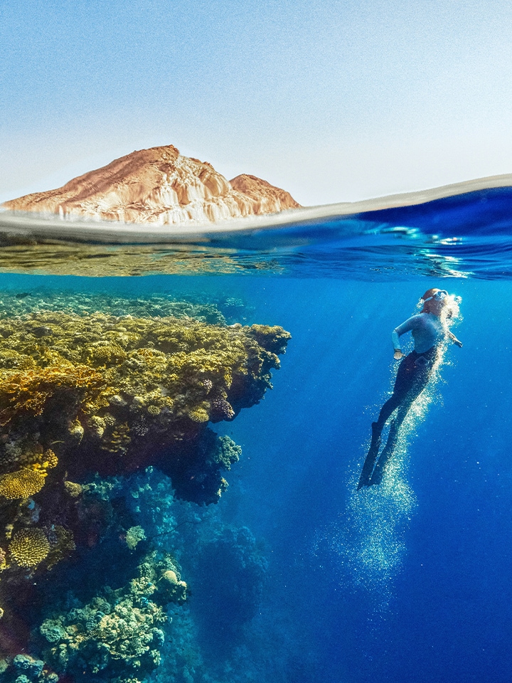Smart Green Seas