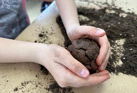 Reforestando con “Nendo Dango”