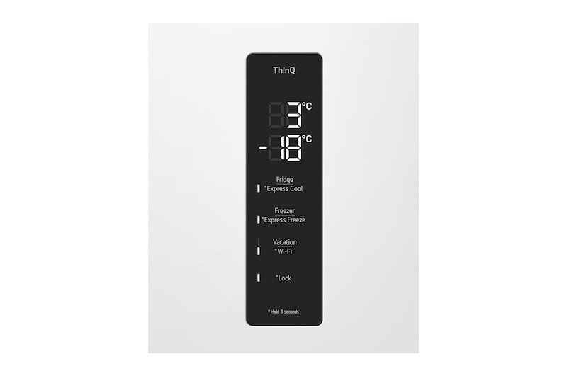 LG GBV5250DSW Vue de face