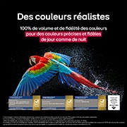 Des feux d’artifice éblouissants et colorés sont affichés sur un écran de TV. Cela démontre une fidélité de couleur de 100 %, avec des couleurs précises même en plein soleil.  La certification du logo est visible, la technologie Perfect Color offre des niveaux d’uniformité des couleurs supérieurs à 99 % jusqu’à 500 lux. Les certifications Intertek montrant des tests indépendants sont également à côté.