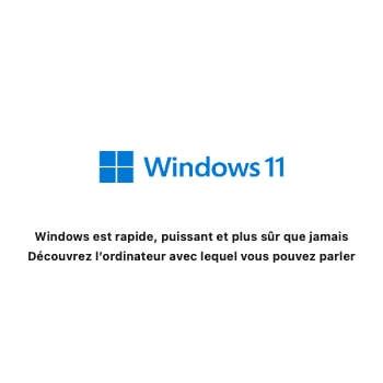 Windows 11