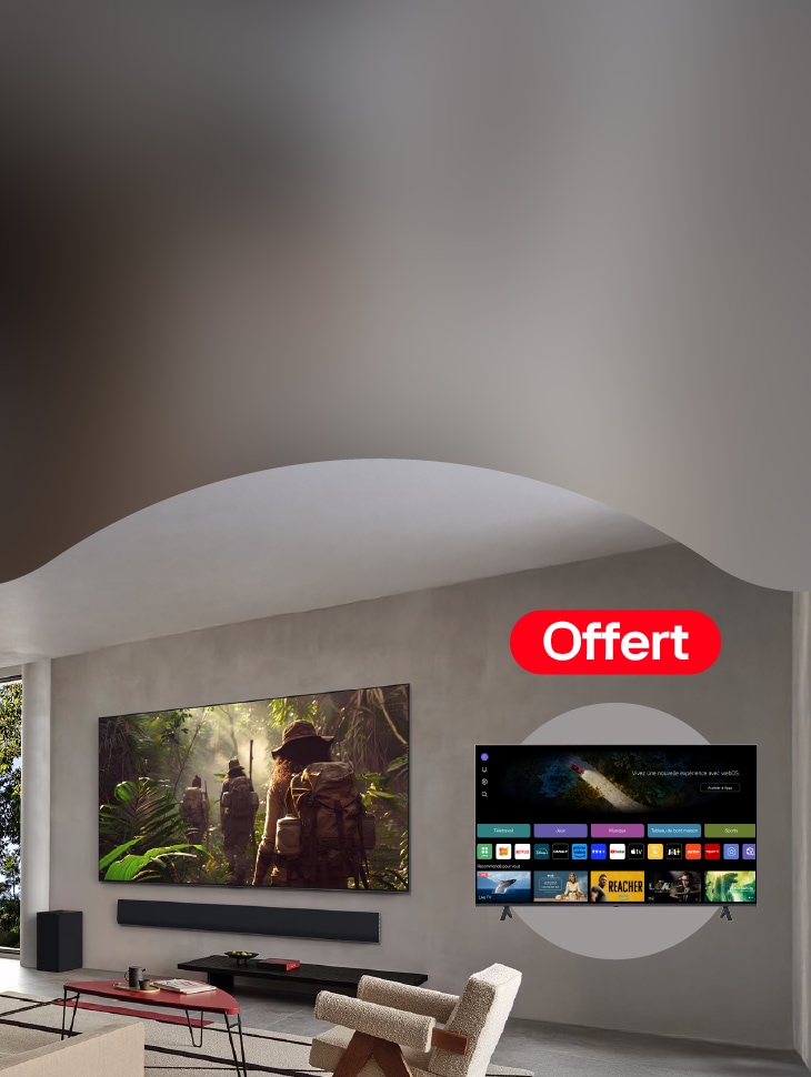 Une TV offerte pour l'achet d'un téléviseur 