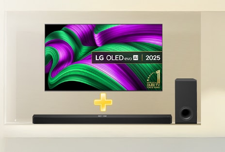 'Buy a 2025 LG QNED evo AI TV and get a free soundbar included.