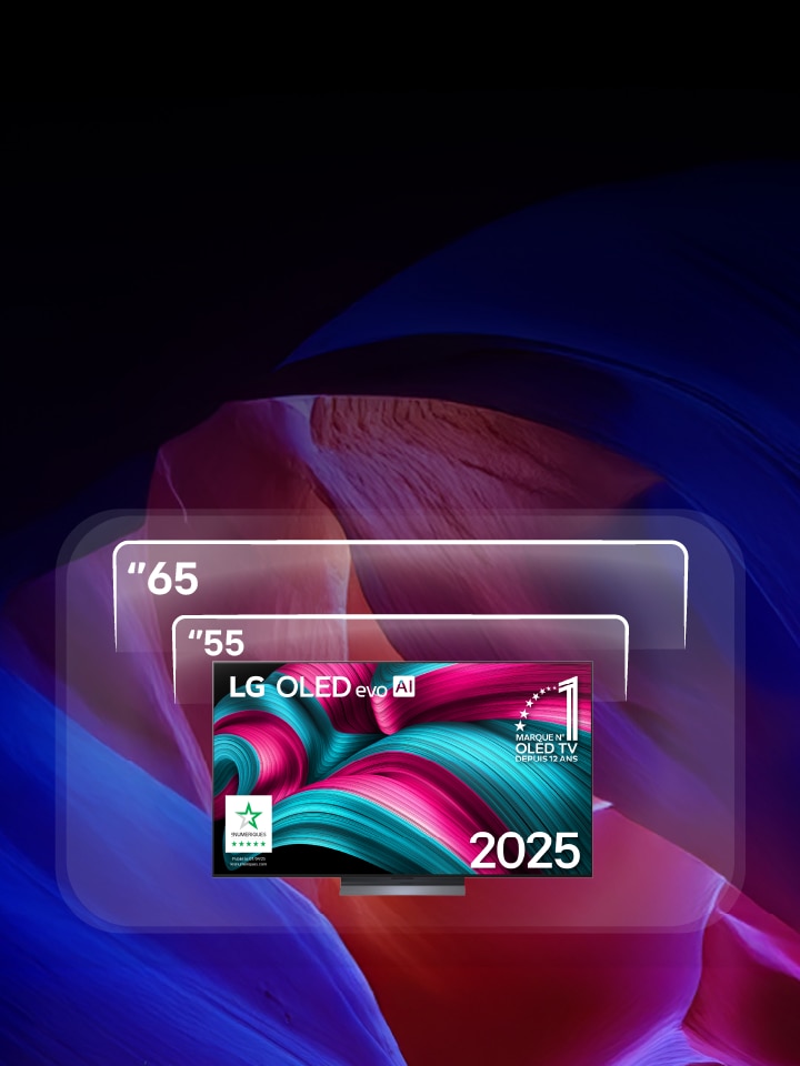 TV Grande Tailles