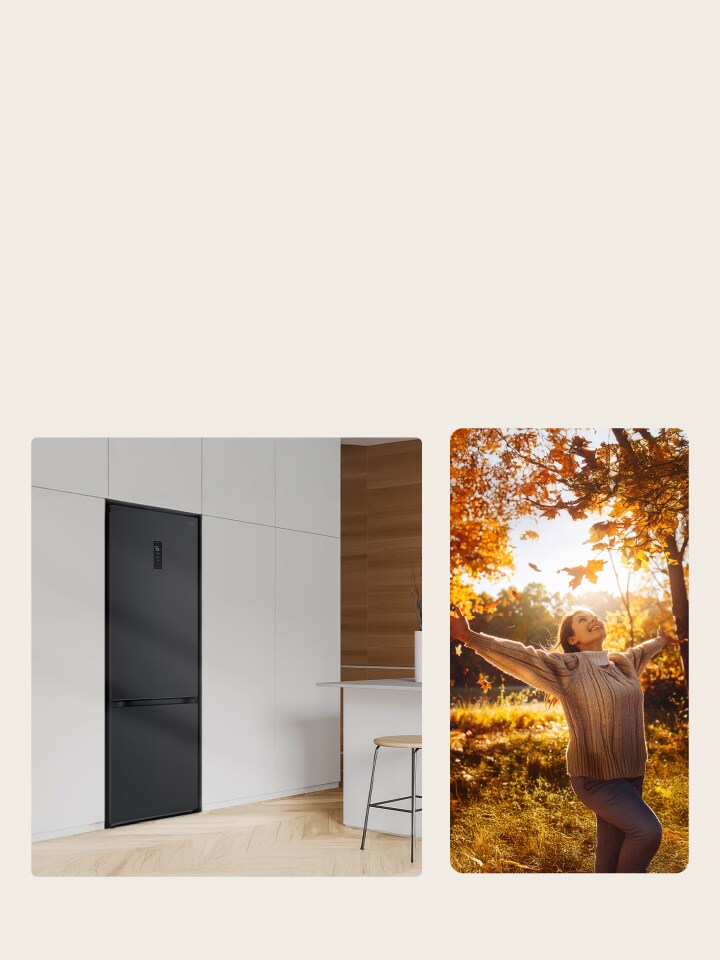 Offres d'Automne Electromenager
