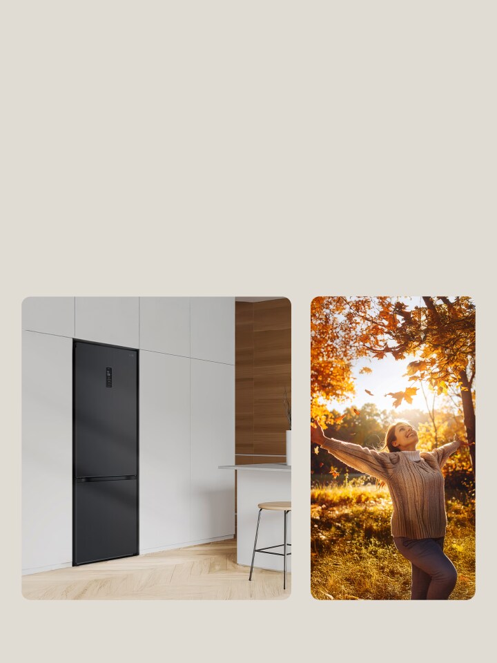 Offres d'Automne Electromenager
