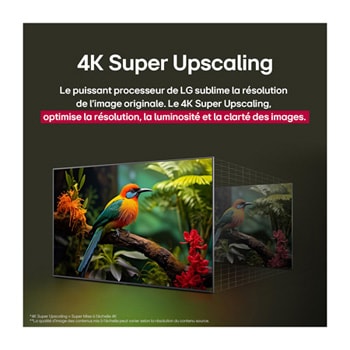 Comparaison avant et après de la façon dont la mise à l’échelle supérieure LG 4K améliore la qualité d’image. Deux panneaux montrant la même image d’un oiseau coloré assis sur une branche dans une forêt, le panneau de droite est estompé. Le titre évoque la façon dont la technologie de mise à l’échelle supérieure 4K améliore la résolution, la luminosité et la clarté. 