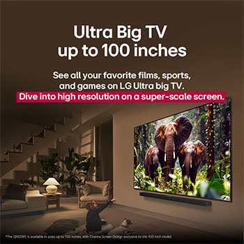 Une fille et un chien sont assis devant une LG QNED TV installée sur un mur représentant trois éléphants marchant vers l’extérieur au-dessus d’une LG Soundbar. Le titre évoque la façon dont chaque scène d’action est plus palpitante sur un très grand écran.