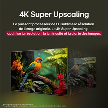 Une fille et un chien sont assis devant une LG QNED TV installée sur un mur représentant trois éléphants marchant vers l’extérieur au-dessus d’une LG Soundbar. Le titre évoque la façon dont chaque scène d’action est plus palpitante sur un très grand écran.