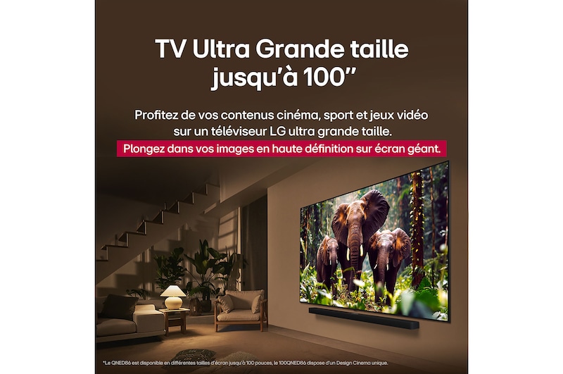 Une fille et un chien sont assis devant une LG QNED TV installée sur un mur représentant trois éléphants marchant vers l’extérieur au-dessus d’une LG Soundbar. Le titre évoque la façon dont chaque scène d’action est plus palpitante sur un très grand écran.