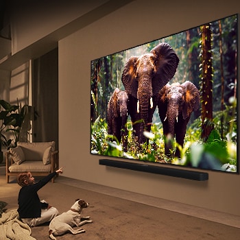 LG QNED TV | 2025 | 75'' (189 cm) | 4K UHD | Processeur α8 AI 4K Gen2 , LG 75QNED85A6C