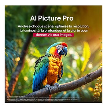 LG TV LG QNED | 2025 | 86'' (217 cm) | 4K UHD | Processeur α8 AI 4K Gen2, LG 86QNED86A6A