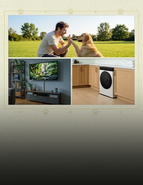 Image sous forme de collage montrant en haut un homme faisant un high-five avec un golden retriever dans un parc, en bas à gauche un téléviseur accroché au mur d'un salon, et en bas à droite une machine à laver encastrée sous un plan de travail de cuisine.