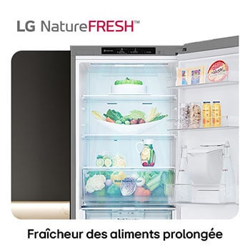 Réfrigérateur-congélateur LG GBF3102DPY illustre l'intérieur NatureFRESH avec tiroir Moist Balance Crisper rempli pour une fraîcheur longue durée.