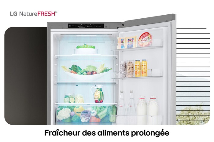 Réfrigérateur-congélateur LG GBV3100EPY illustre l'intérieur NatureFRESH avec tiroir Moist Balance Crisper rempli pour une fraîcheur longue durée.
