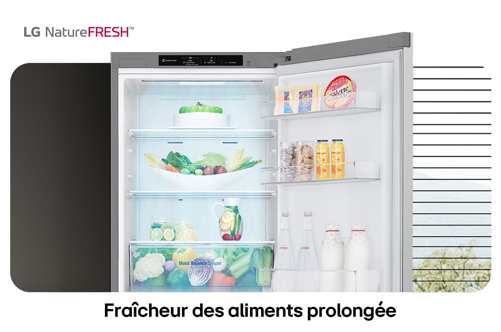 Réfrigérateur-congélateur LG GBV3100EPY illustre l'intérieur NatureFRESH avec tiroir Moist Balance Crisper rempli pour une fraîcheur longue durée.