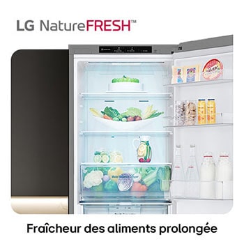 Réfrigérateur-congélateur LG GBV3100EPY illustre l'intérieur NatureFRESH avec tiroir Moist Balance Crisper rempli pour une fraîcheur longue durée.