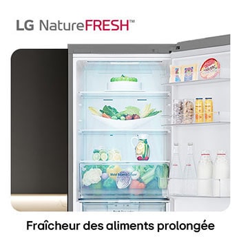Réfrigérateur-congélateur LG GBV3110EPY illustre l'intérieur NatureFRESH avec tiroir Moist Balance Crisper rempli pour une fraîcheur longue durée.