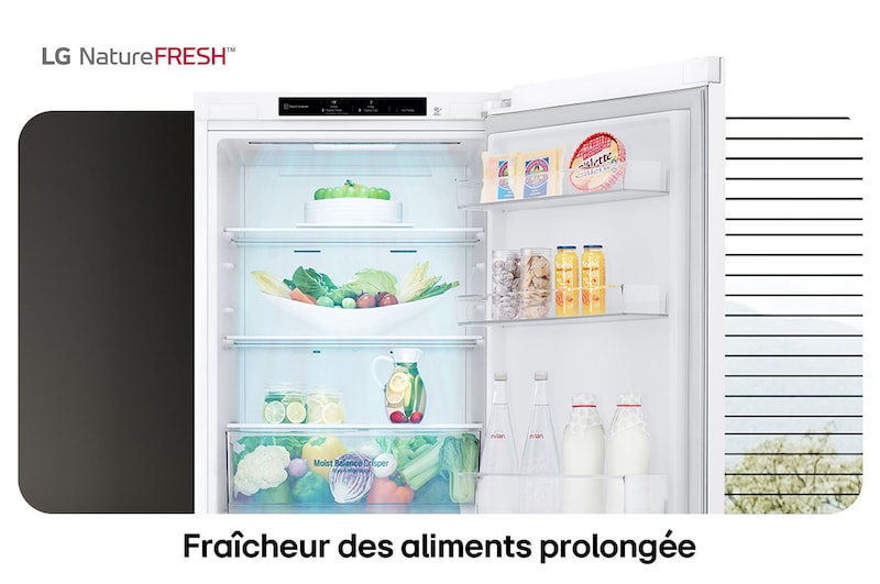 Réfrigérateur-congélateur LG GBB61SWJEC illustre l'intérieur NatureFRESH avec tiroir Moist Balance Crisper rempli pour une fraîcheur longue durée.