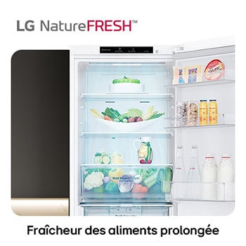 Réfrigérateur-congélateur LG GBB61SWJEC illustre l'intérieur NatureFRESH avec tiroir Moist Balance Crisper rempli pour une fraîcheur longue durée.