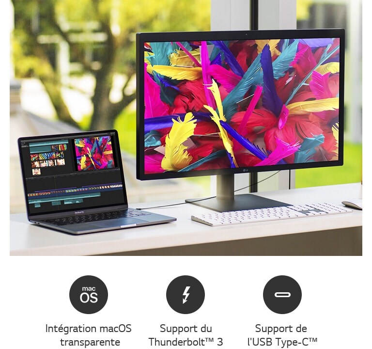 Un moniteur LG UltraFine™ 27MD5KL de face, branché à un pc MacBook Pro, sur l'écran du pc et du moniteur est affichée une photo de plumes de couleurs vives