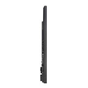 LG 43 po 350 nits FHD Affichage standard, LG 43SM5KD-B